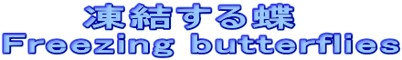      钱 Freezing butterflies